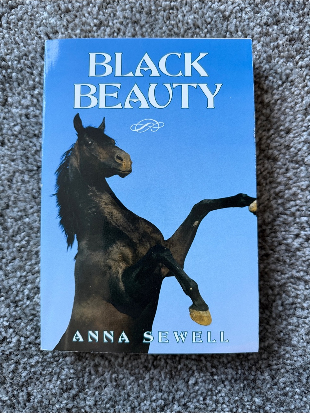 Black Beauty Novel